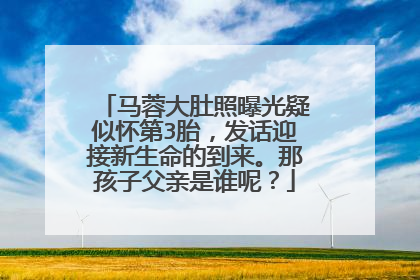 马蓉大肚照曝光疑似怀第3胎,发话迎接新生命的到来。那孩子父亲是谁呢?