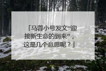 马蓉小号发文“迎接新生命的到来”，这是几个意思呢？