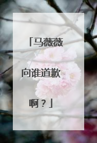 马薇薇向谁道歉啊？