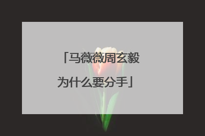 马薇薇周玄毅为什么要分手