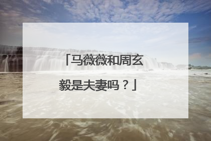 马薇薇和周玄毅是夫妻吗?