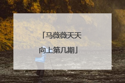 马薇薇天天向上第几期