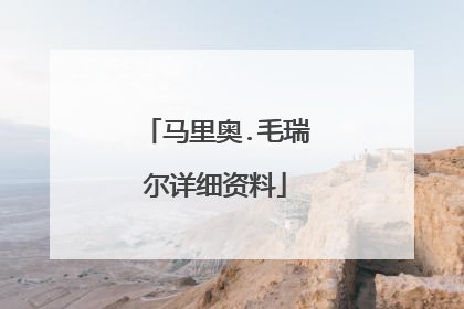 马里奥.毛瑞尔详细资料