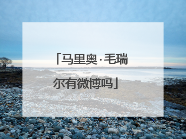 马里奥·毛瑞尔有微博吗