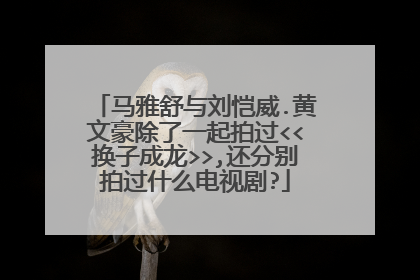 马雅舒与刘恺威.黄文豪除了一起拍过<<换子成龙>>,还分别拍过什么电视剧?