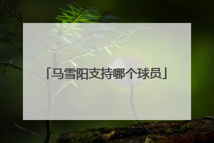 马雪阳支持哪个球员