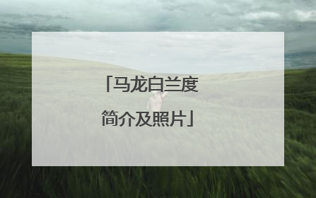 马龙白兰度 简介及照片