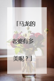 马龙的老婆有多美呢?