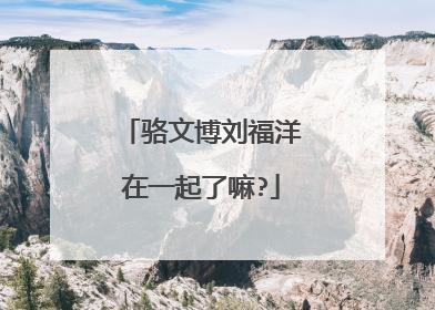 骆文博刘福洋在一起了嘛?