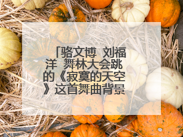 骆文博 刘福洋 舞林大会跳的《寂寞的天空》这首舞曲背景音乐是什么？
