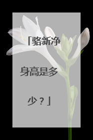 骆新净身高是多少?