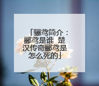 骊鸢简介:郦鸢是谁 楚汉传奇郦鸢是怎么死的