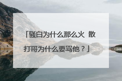 骚白为什么那么火 散打哥为什么要骂他?