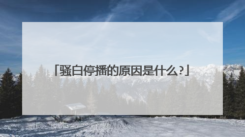骚白停播的原因是什么?