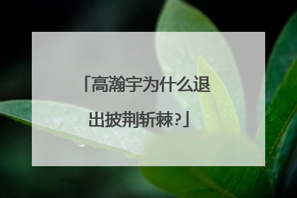 高瀚宇为什么退出披荆斩棘?