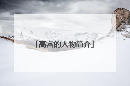 高睿的人物简介