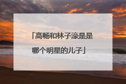 高畅和林子濠是是哪个明星的儿子