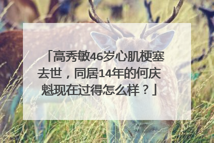 高秀敏46岁心肌梗塞去世，同居14年的何庆魁现在过得怎么样？