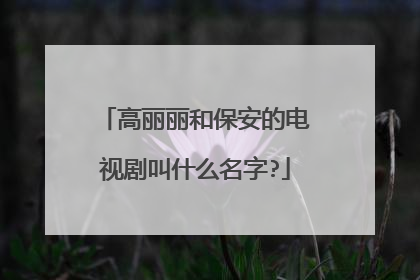 高丽丽和保安的电视剧叫什么名字?