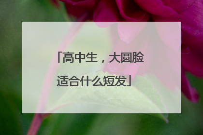 高中生，大圆脸适合什么短发