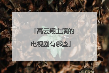 高云翔主演的电视剧有哪些