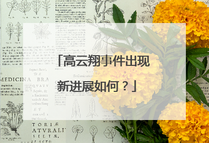 高云翔事件出现新进展如何？