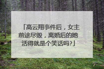高云翔事件后，女主前途尽毁，离婚后的她活得就是个笑话吗?
