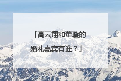 高云翔和董璇的婚礼嘉宾有谁?