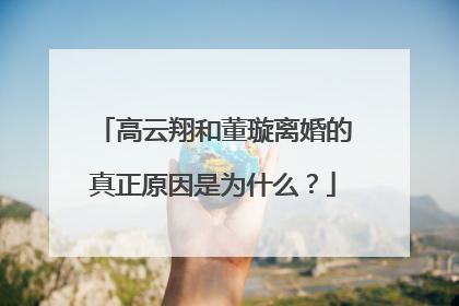 高云翔和董璇离婚的真正原因是为什么?