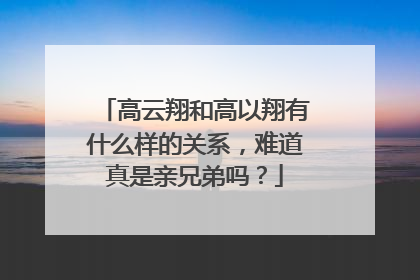 高云翔和高以翔有什么样的关系,难道真是亲兄弟吗?