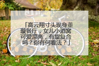 高云翔寸头现身董璇餐厅,女儿小酒窝可爱漂亮,有望复合吗?你有何看法?