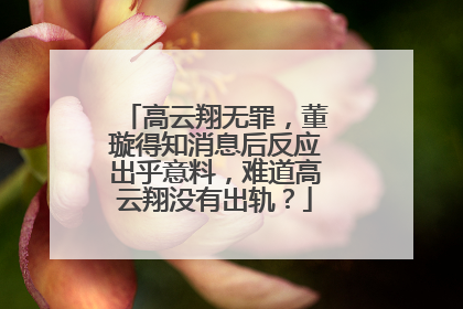 高云翔无罪,董璇得知消息后反应出乎意料,难道高云翔没有出轨?