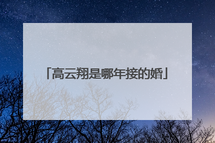 高云翔是哪年接的婚