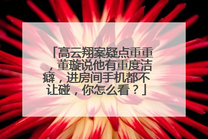 高云翔案疑点重重,董璇说他有重度洁癖,进房间手机都不让碰,你怎么看?