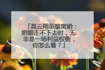 高云翔董璇离婚:婚姻走不下去时,无非是一场利益权衡,你怎么看?