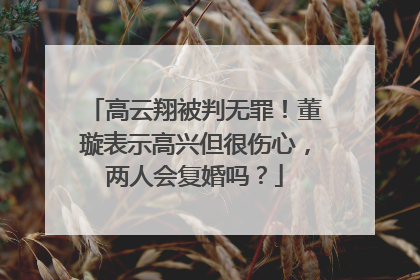 高云翔被判无罪！董璇表示高兴但很伤心，两人会复婚吗？