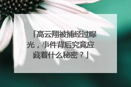 高云翔被捕经过曝光,事件背后究竟应藏着什么秘密?