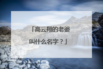 高云翔的老婆叫什么名字?