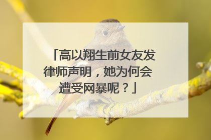 高以翔生前女友发律师声明，她为何会遭受网暴呢？