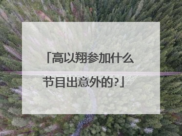 高以翔参加什么节目出意外的?