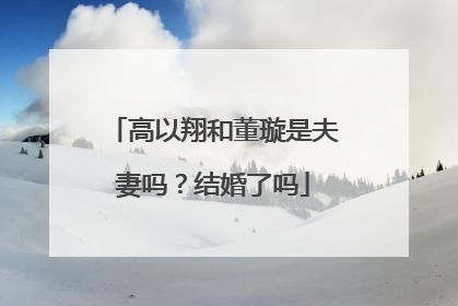 高以翔和董璇是夫妻吗?结婚了吗