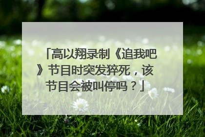 高以翔录制《追我吧》节目时突发猝死，该节目会被叫停吗？