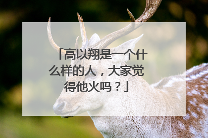 高以翔是一个什么样的人,大家觉得他火吗?