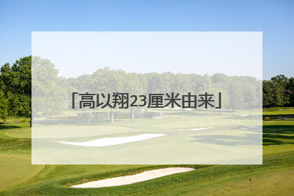 高以翔23厘米由来