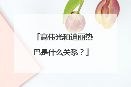 高伟光和迪丽热巴是什么关系?