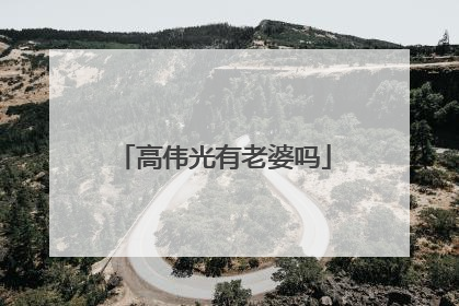 高伟光有老婆吗