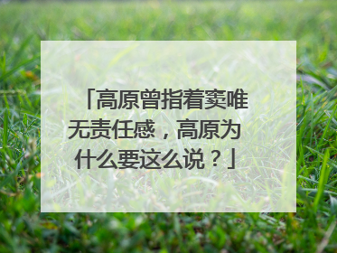 高原曾指着窦唯无责任感，高原为什么要这么说？