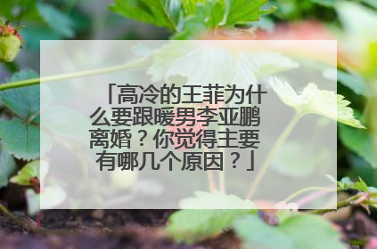 高冷的王菲为什么要跟暖男李亚鹏离婚？你觉得主要有哪几个原因？