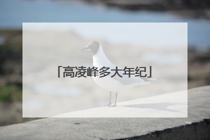 高凌峰多大年纪