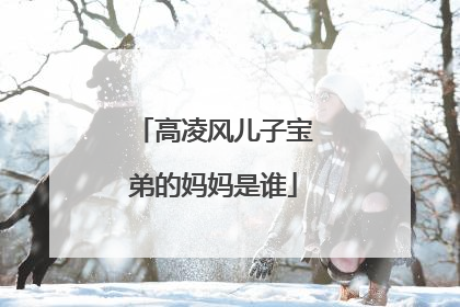 高凌风儿子宝弟的妈妈是谁